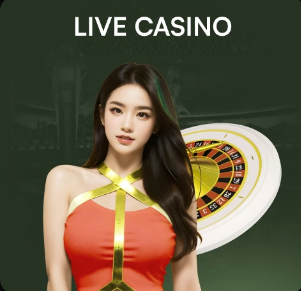 NBA战报：掘金135